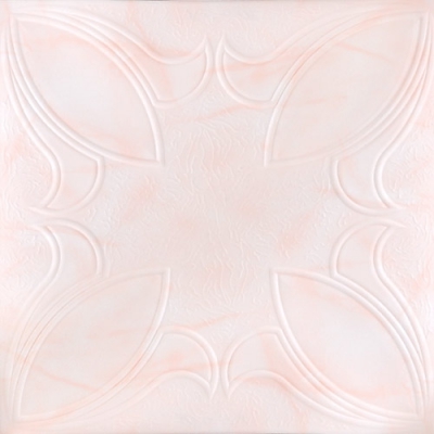 06 (24)